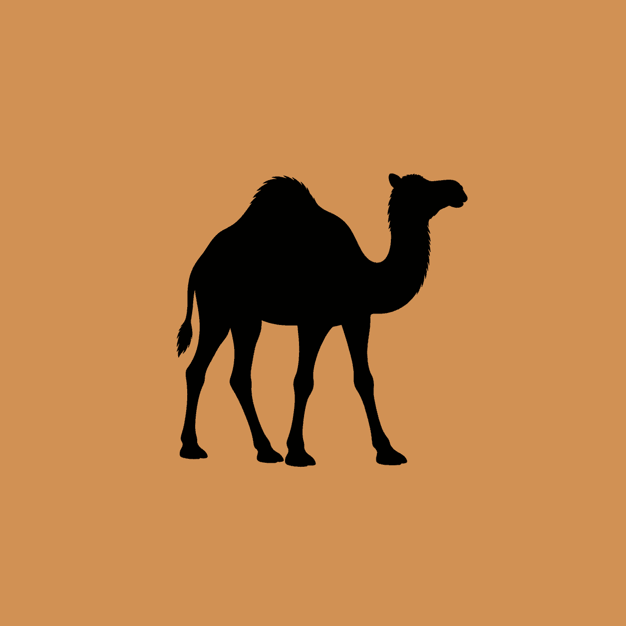 Camel Finance Logo